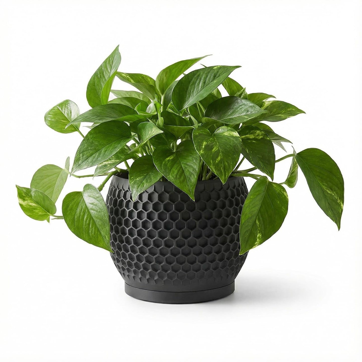 Fabix3D Plant Pots, Modern 3D Printed Honeycomb Planters for Indoor Plants, 4.7 Inch Matte Black Decorative Flower Pot for Office Desktop, Bookshelf & Home Decor, Lightweight & Durable.