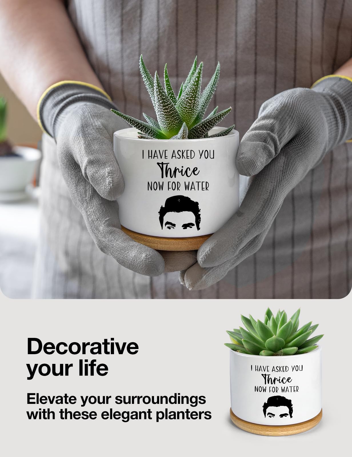 PWHINGN I Have Asked You Thrice Now for Water Ceramic Succulent Planter Pot, Funny Plants Pots Schitts Merchandise Gifts, for Women Mom Grandma Plant Lovers Gifts - 3.5 inch(Plant Not Included)
