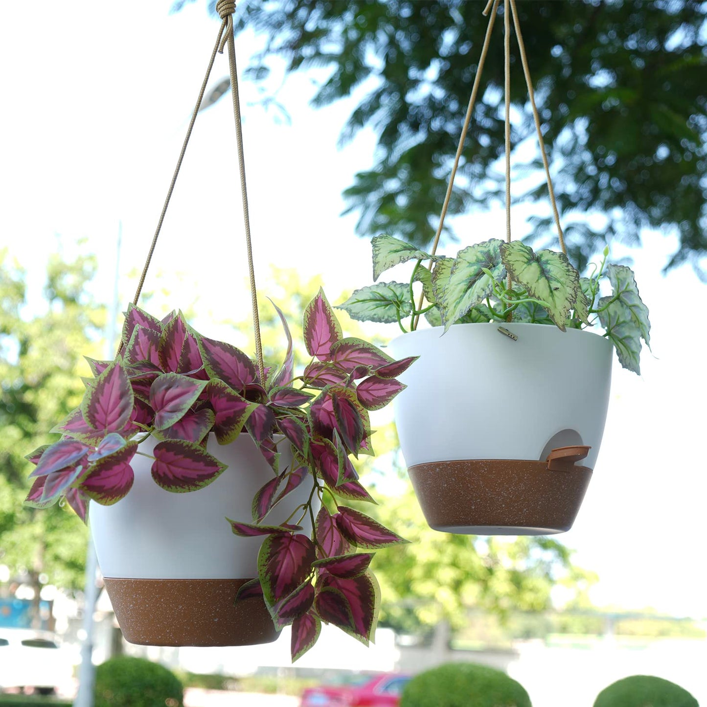 SwinDuck 8 inch Hanging Planters, 2 Pack Self Watering Hanging Pots with 20oZ Deep Reservoir for Indoor Outdoor Plants Flowers, White with Brown