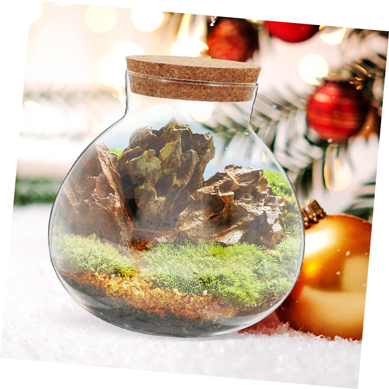 VICASKY Micro Landscape Terrarium Holder Decorative Cork Glass Bottle for Plants DIY Landscaping Round Sealed Container for Home Decor Party Accent