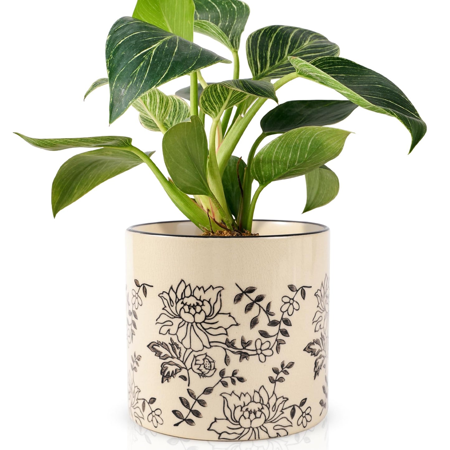 STHIE Indoor Ceramic Plant Pots with Drainage Holes 5 Inch Cute Succulent Flower Pots Small Orchid Planter Pots for Indoor Plants Garden Pots, Peony