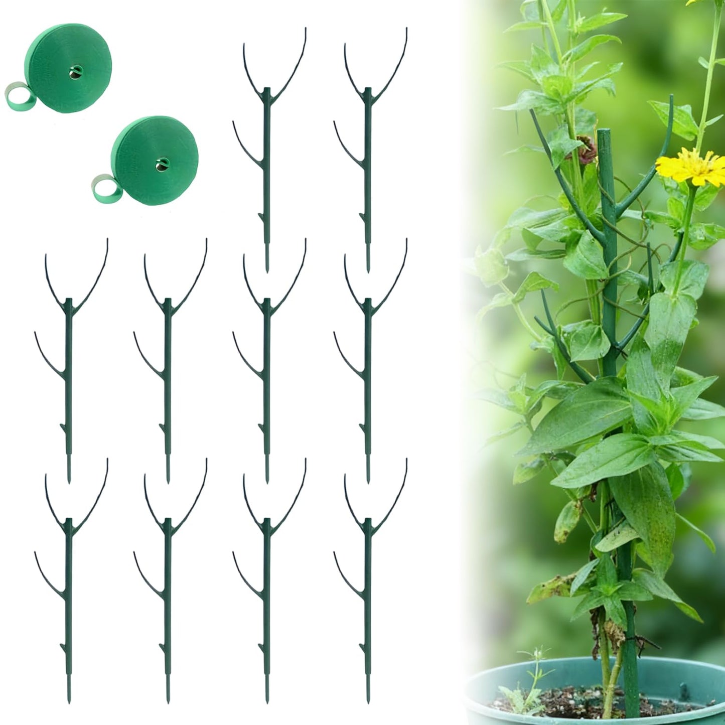 10 Pack Stackable Monstera Plant Support, Climbing Plant Support Structures, Garden Plant Support Stakes for Indoor Outdoor Plants, Plant Holder Stick Moss Pole for Support Tall Potted Plants