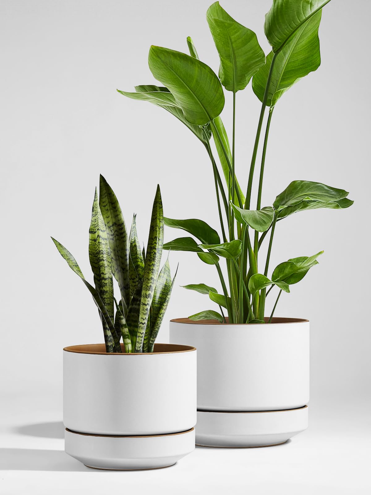 LE TAUCI 12 Inch Pot for Plants with Saucer, Ceramic Indoor Planter Pot with Drainage Hole, Mesh Pad Included, Matte Glazed Outside, Modern for Home and Office, Alpine White & Ochre
