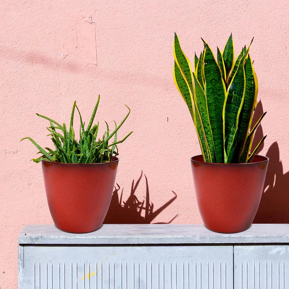 RICH ATLAS 3Pack Plant Pots Durable Decorative Flower Pots,6 Inch Planter Set for Indoor and Outdoor Plants,Flowers,Succulents (Red)