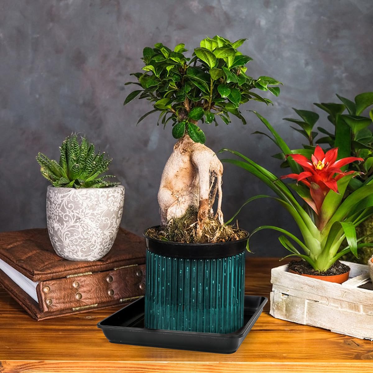 LNQ LUNIQI 5Pcs Square Plastic Plant Saucer 13 Inches Flower Pot Bottom Seat Flower Pot Tray Thick Plastic Drip Tray for Outdoor and Indoor Plant Pots（Black）