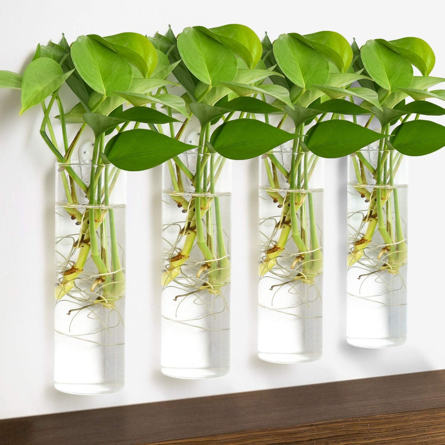 Vumdua 4 Pack Glass Planters, Clear, 5.9 in H x 1.85 in D, Suitable for Most Water Plants, Perfect for DIY Propagation Station, Easy to Install, Elegant and Functional