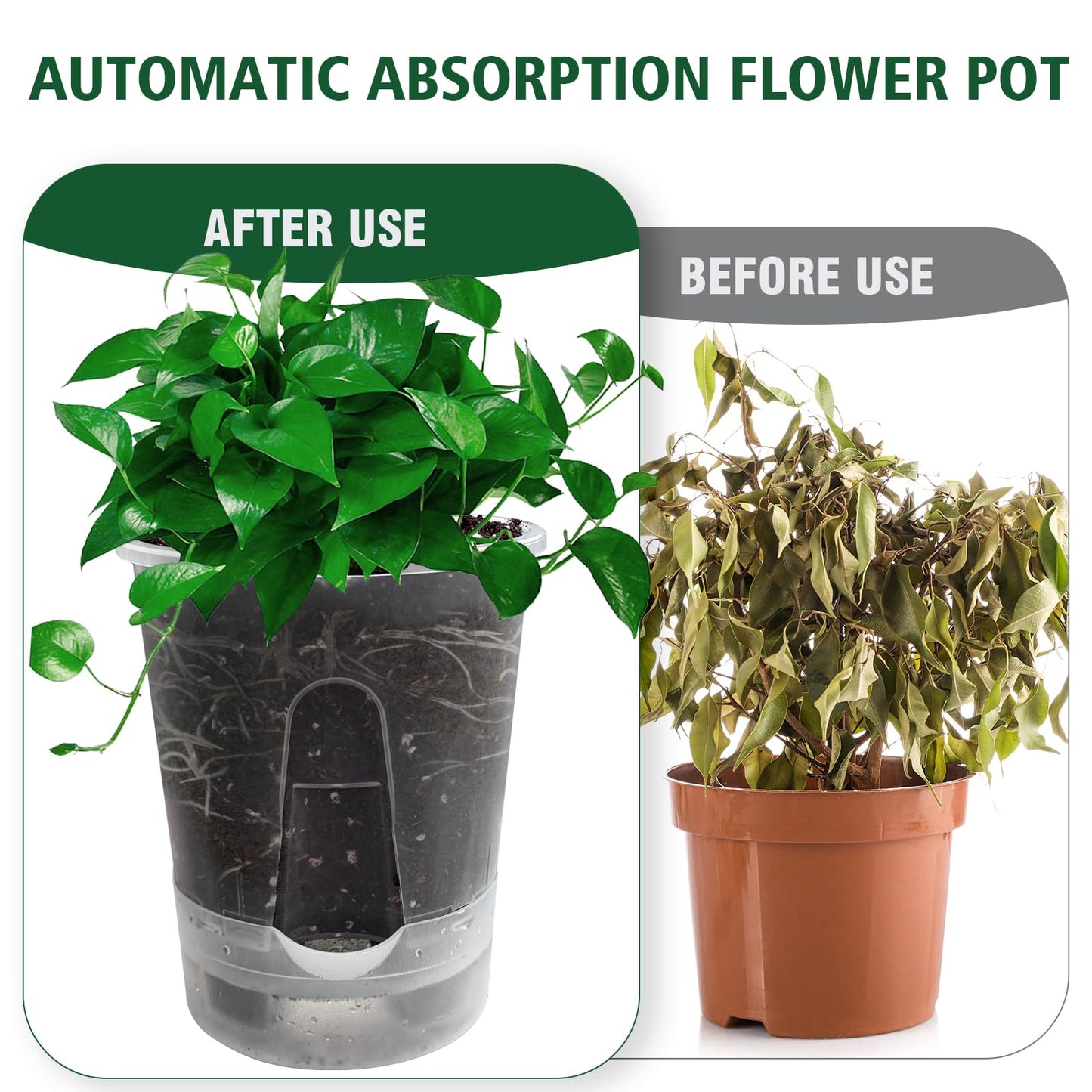 Cdd's Path Upgraded 5-Pack 6 Inch Naked Root Planter Self Watering Pots Set, Plant Pots with Holes for Indoor/Outdoor Plants with Watering Hole/Reservoir and Air Pipes, Clear