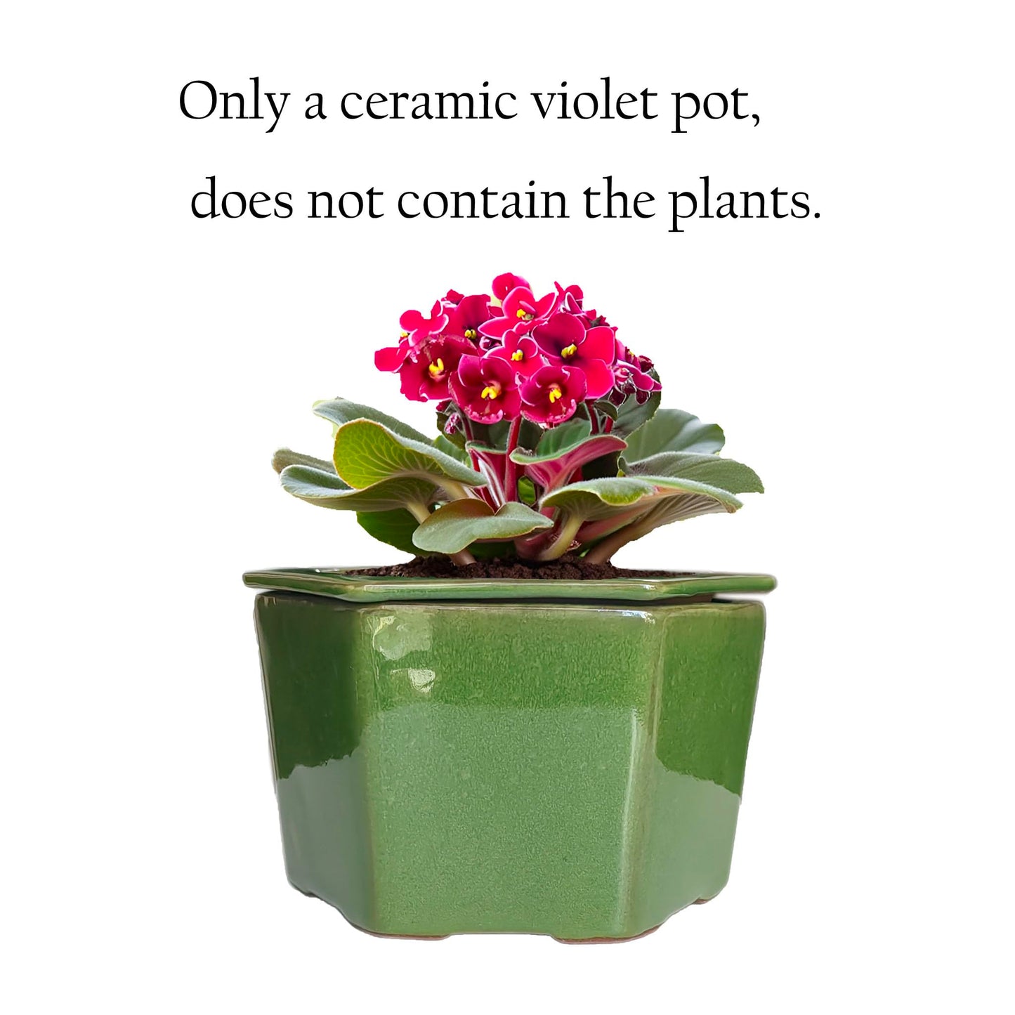 Dphagesy African Violet Pots 6 inch Hexagon Self-Watering Ceramic Pots 4.50'' Opening(Green)
