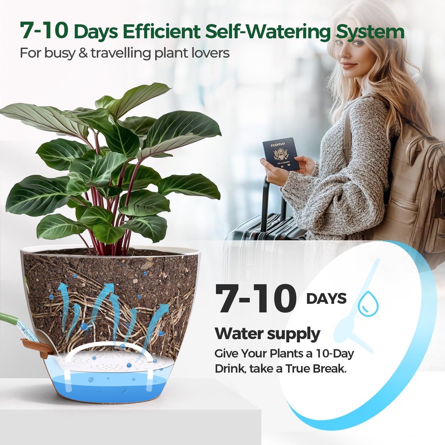 T4U 4 Pack 6 Inch Self Watering Pots - Water Level Indicator & Deep Reservoir, Mess-Free Planter for Busy People, Beginners & Gardeners, Fit Herbs/Pothos/Succulents Plants, Indoor Outdoor Use (White)