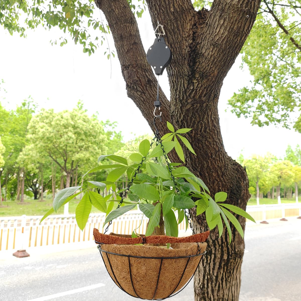TIHOOD 3PCS Plant Pulley with 3PCS Ceiling Hooks Retractable Pulley Plant Hanger Hanging Flower Basket Hook Hanger for Garden Baskets Pots and Birds Feeder in Different Height Lower and Raise