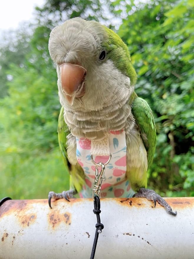 Bird Diaper Harness Flight Suit Clothes, Parrot Flight Suit with Leash, Bird Flying Clothes with Rope and Handle for Outdoor Activities Training (Pink Without Leash,Medium)