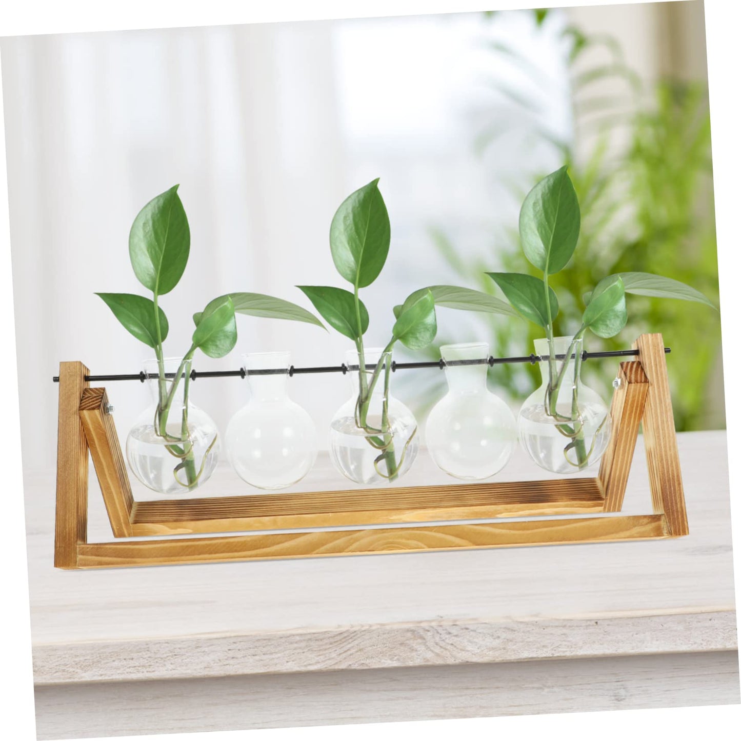 BESPORTBLE Wooden Stand Plant Propagation Glass Vases for Hydroponic Plants Terrarium for Home Decor