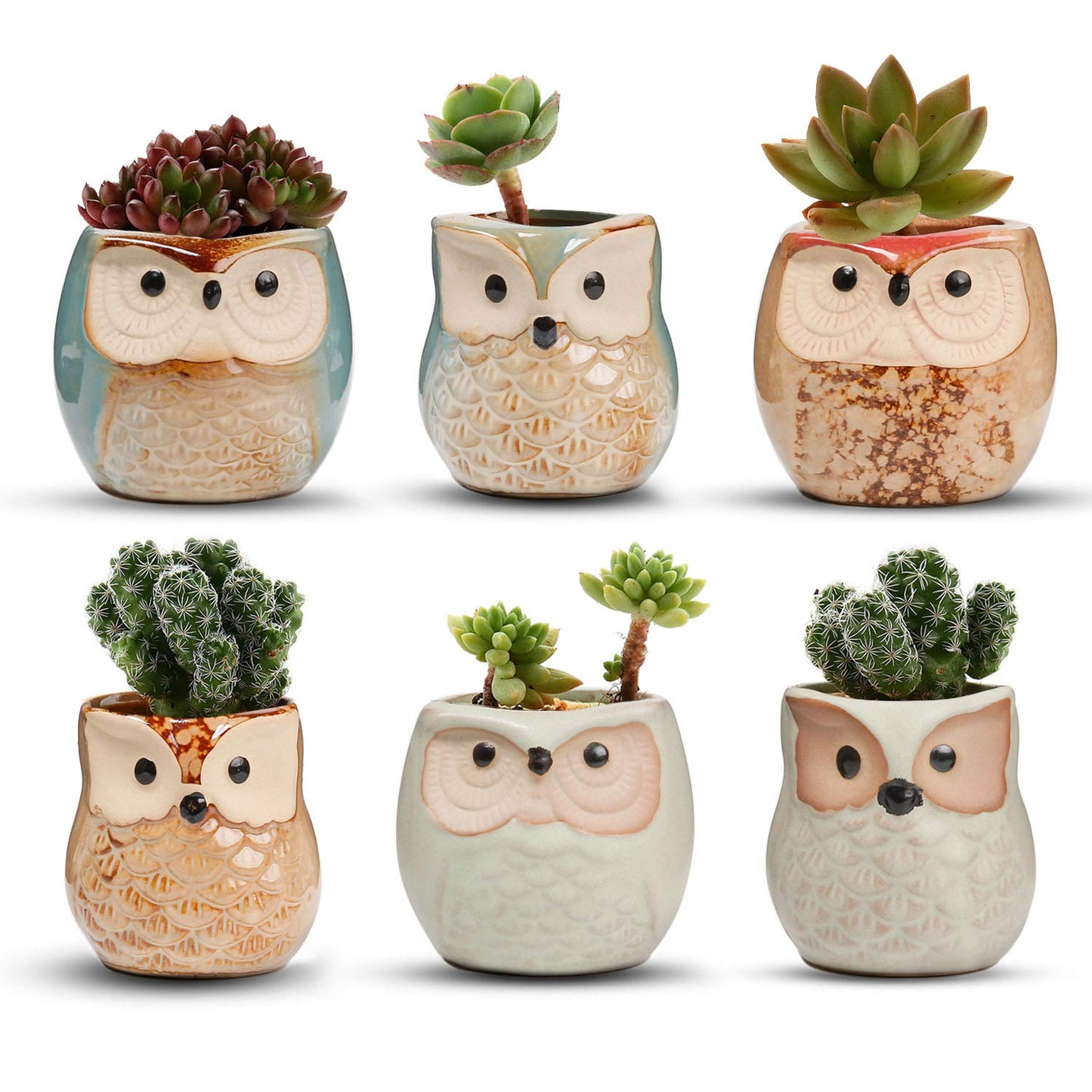 T4U 2.5 Inch Owl Ceramic Succulent Planter Pots with Drainage Hole Set of 6, Mini Cute Flower Pots Tiny Plant Holder Container Best for Home Office Garden Decoration Owl Gift Ideas