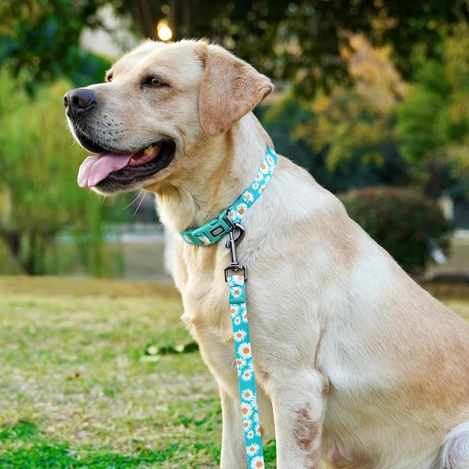 Dog Collar and Leash Set, Cute Daisy Pattern, Polyester Material, 5ft Leash, for Large Dogs.(Large,Green Daisy)