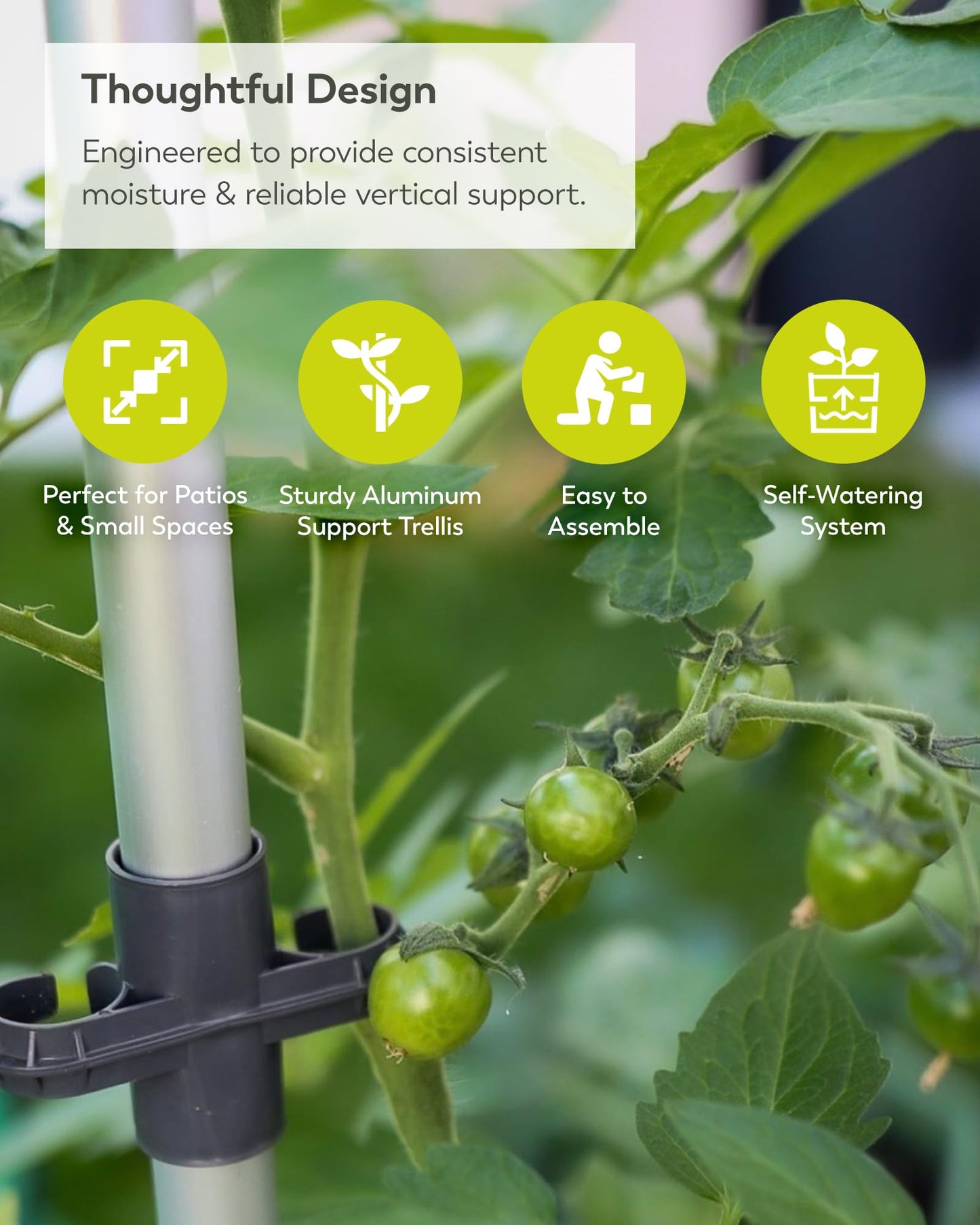 BUZZY Seeds Self-Watering Vertical Tomato Planter with Trellis – 1.2 Gal Reservoir, Large Capacity Planter for Tomatoes & Climbing Plants (Grey)