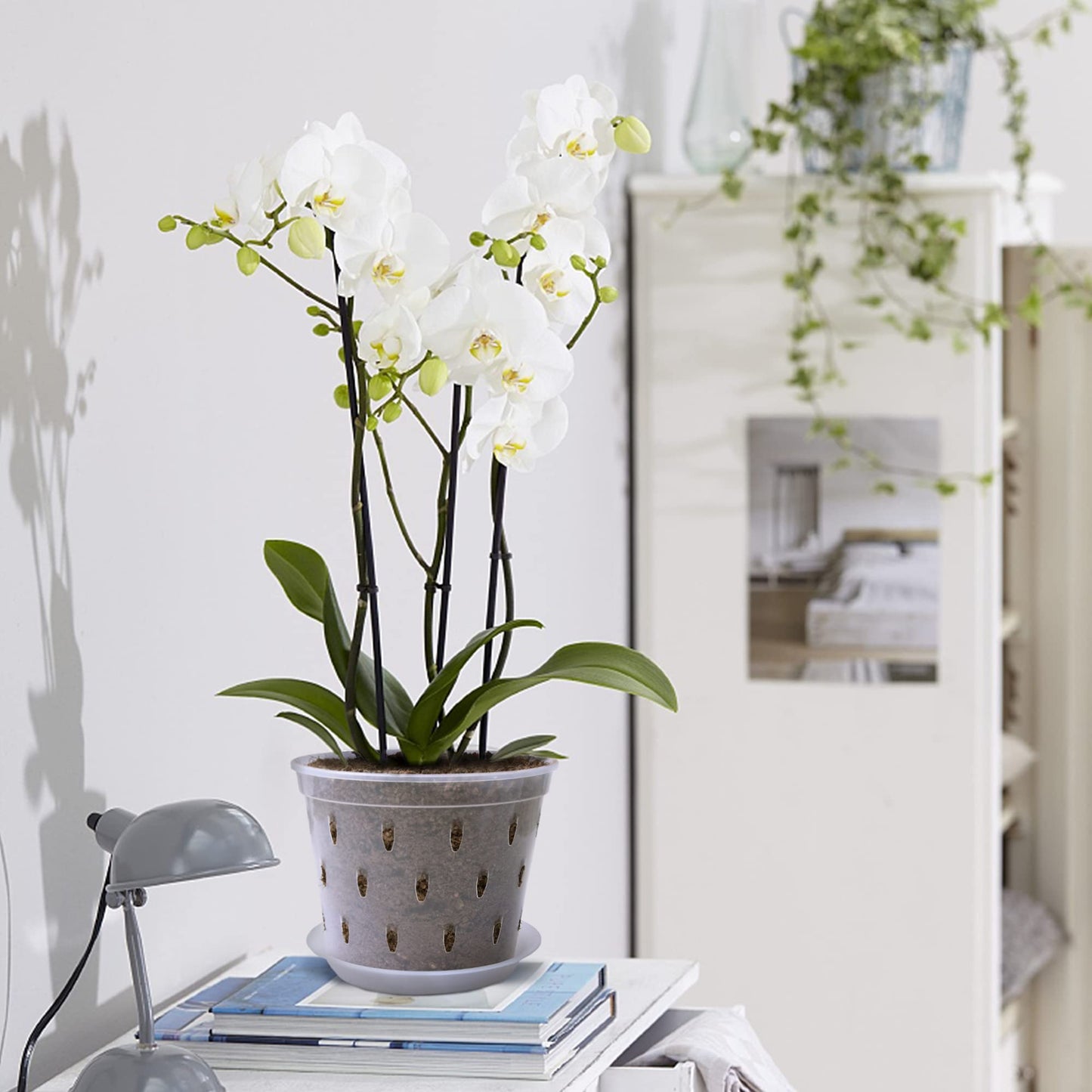 lanccona Orchid Pot, 7 Inch 8 Pack Orchid Pots with Holes and Saucers, Clear Plastic Plant Pot Indoor