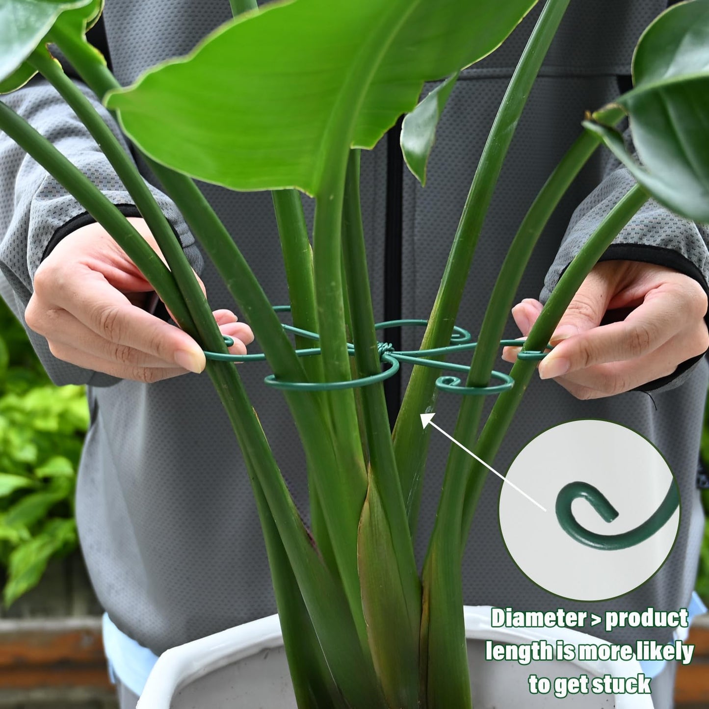 Yohsnor Monstera Plant Stem Support - 5 Pack 6.5"x6.5" Green Metal Stem Stabilizers, Adjustable Ring Clamps for Indoor Plants, Fishbone Cactus, Turtle Shell Bamboo & Climbing Vines