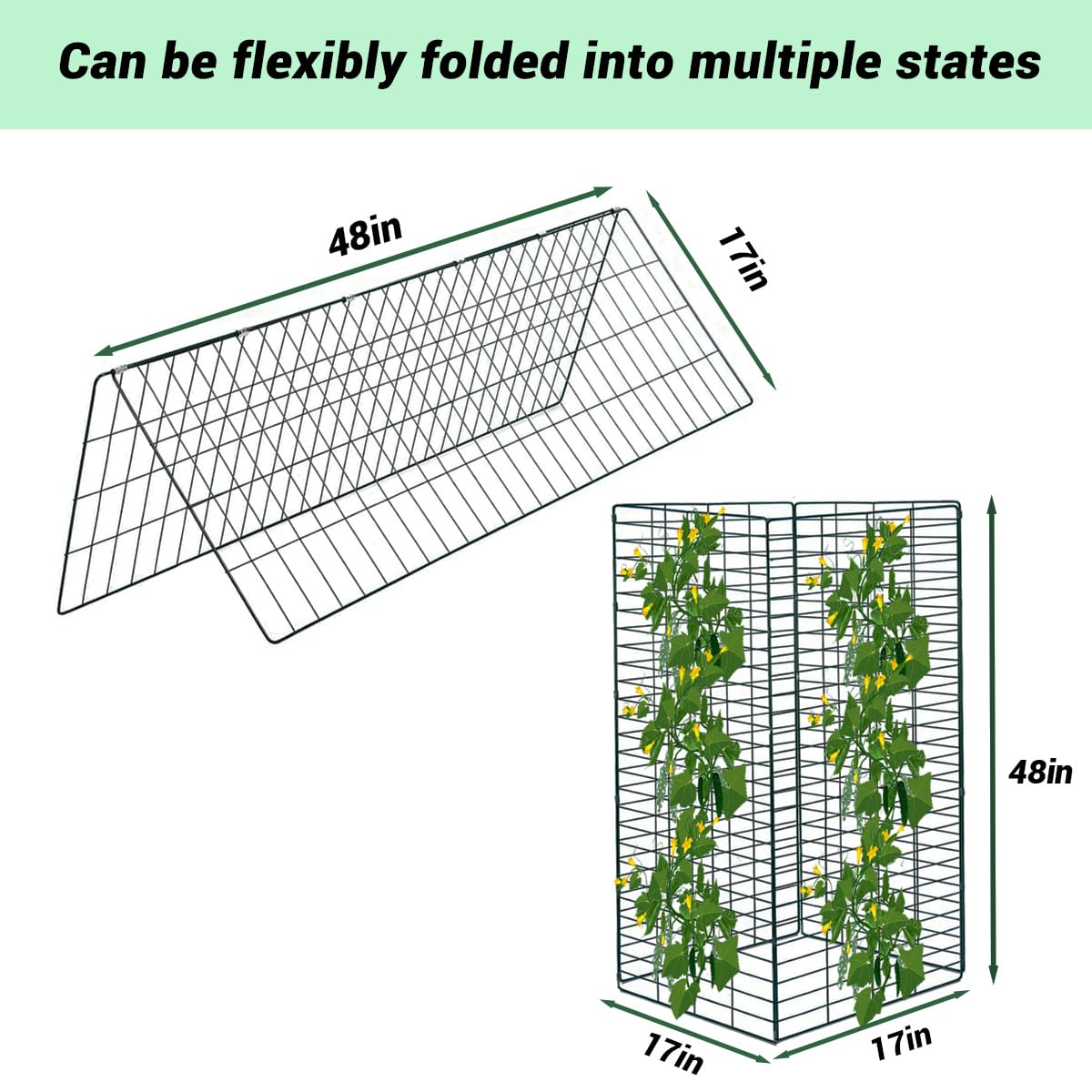 Metal Trellis for Climbing Plants Outdoor Garden Trellis,Cucumber Trellis,Tomato Plant Support/Squash/Zucchini/Sweet Peatrellis,Green Bean/Grape/Vine/Flower Plant Trellis (1pack)