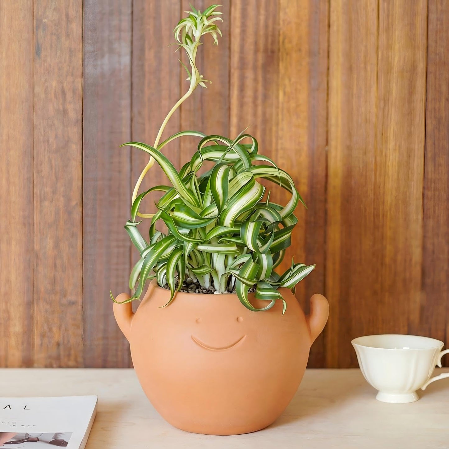 Bamworld Smiley Face Planter Pot Cute Plant Pots Small Plant Pot with Drainage Holes Gifts for Plant Lovers Succulent Pots Terracotta Planter for Indoor Outdoor Funny Planters Power Hands Home Decor