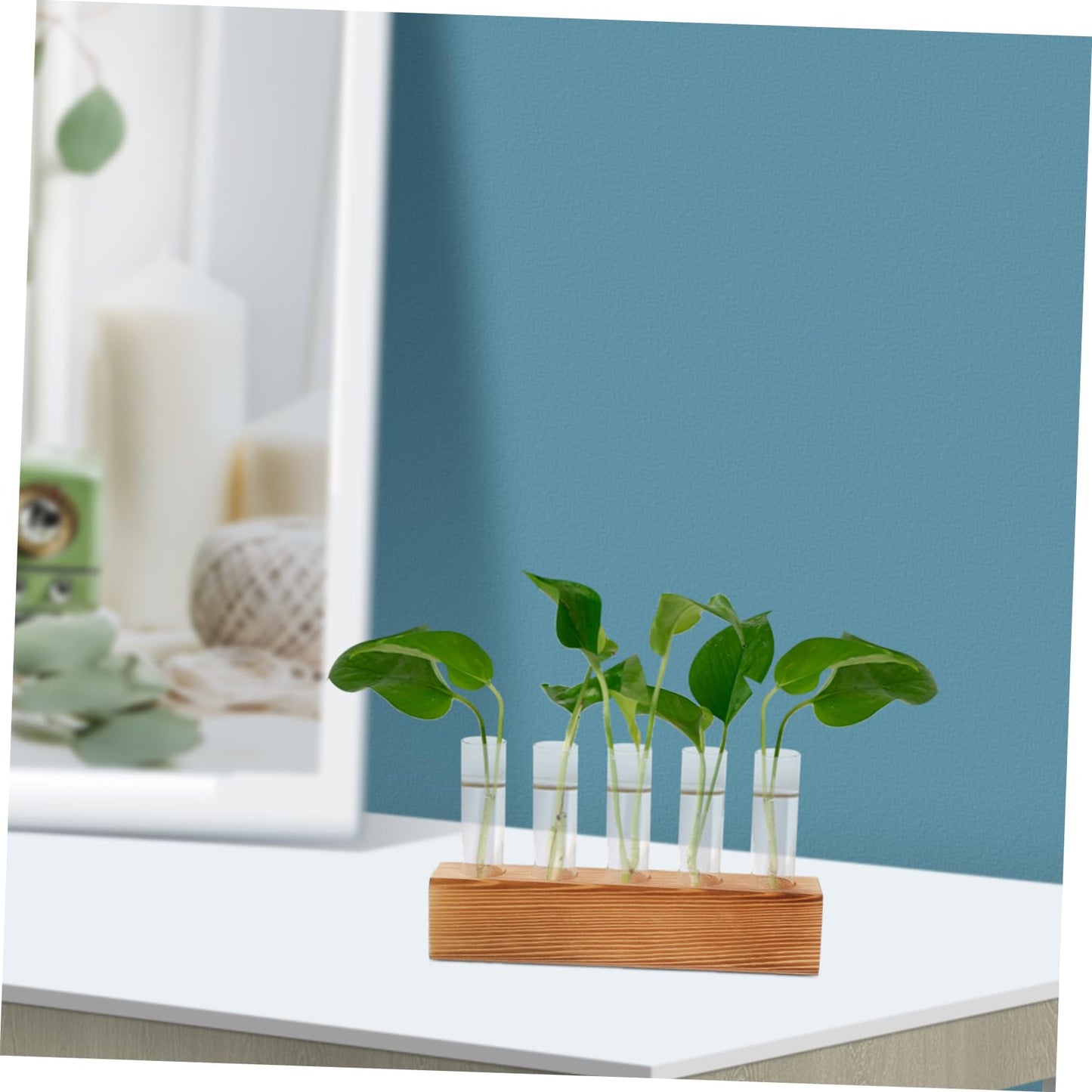Homoyoyo 1 Set Clear Hydroponic Glass Vase for Decorative Planting - Ideal for Centerpieces - Air Plants and Flower Propagation Elegant Terrarium Planter for Home and Office Decor