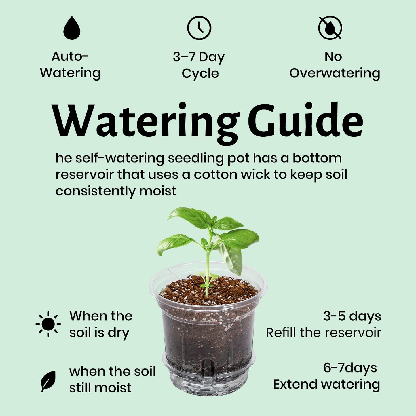 Bluepro 12 Pack 6.5 Inch Clear Self Watering Plant Pots with Bottom Water Tray & Watering Rope, Transparent Nursery Pots with Drainage for Seedlings, Herbs, and Houseplants