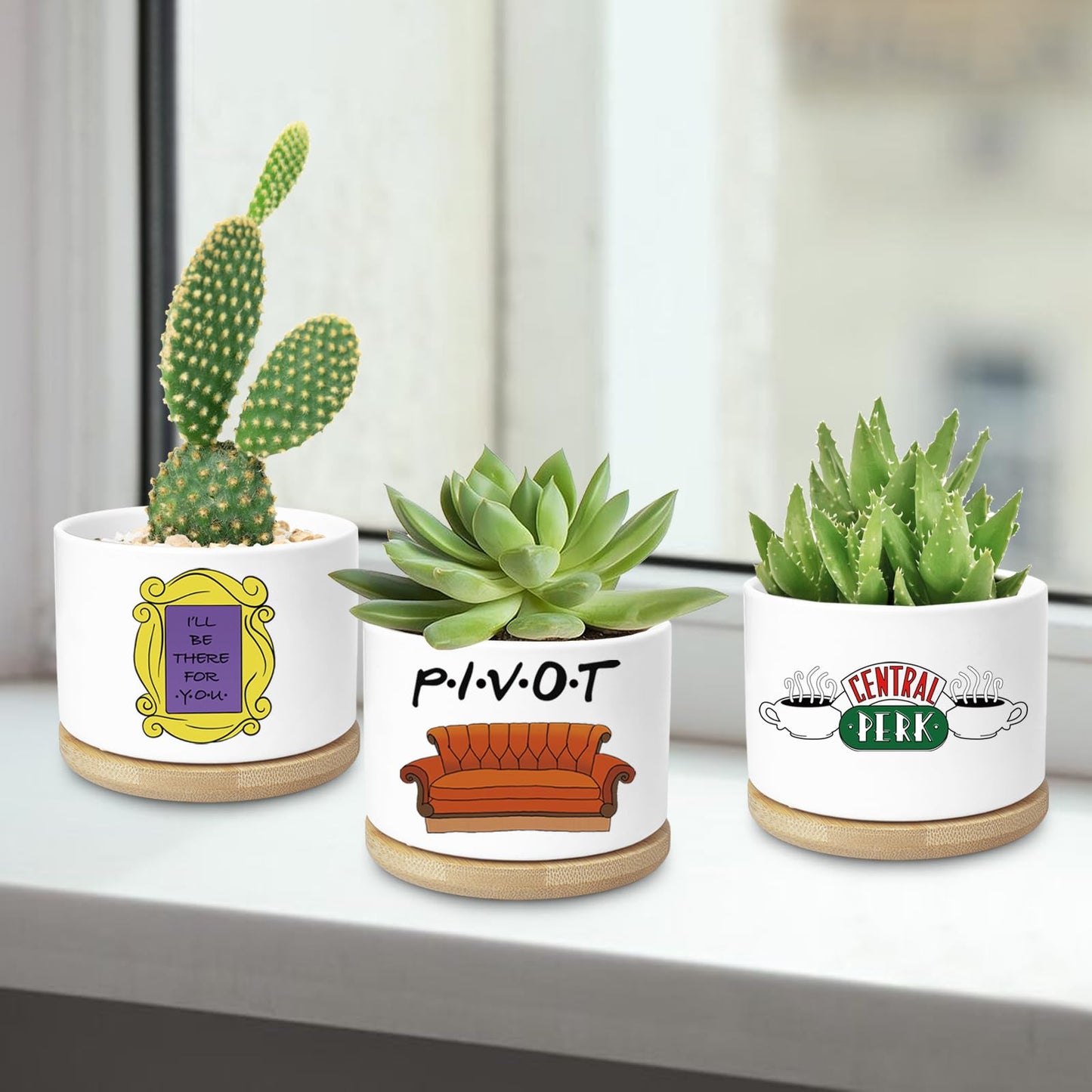 Ywkuiev Succulent Planter, Flower Cactus Plant Pot, Friends Merchandise, Funny Friendship Decor Gifts for Women Men Friends Sister Bestie Housewarming Gift (Plants Not Included)