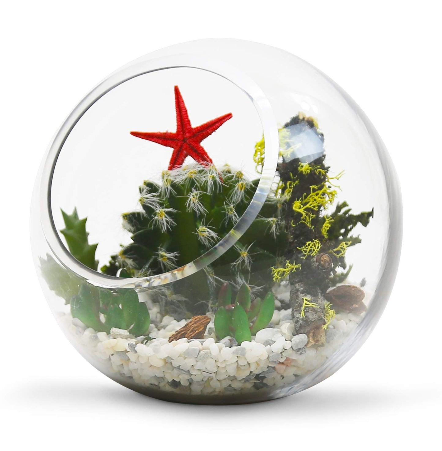 WGV Slant Cut Bowl Glass Vase, Width 5.5", Height 5.5", Clear Round Globe Planter Terrarium Orb, Candy Dish, Fruit Jar, Floral Container for Home Office Decor, 1 Piece
