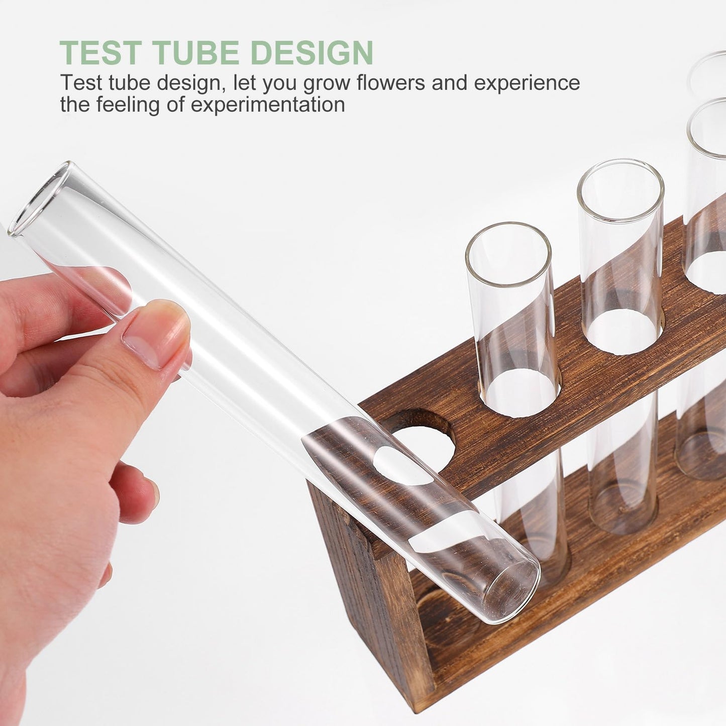 GLEAVI Glass Test Tube Vase Hydroponic Planter Large Glass Container for Water Planting and Air Plant Terrarium Home Décor