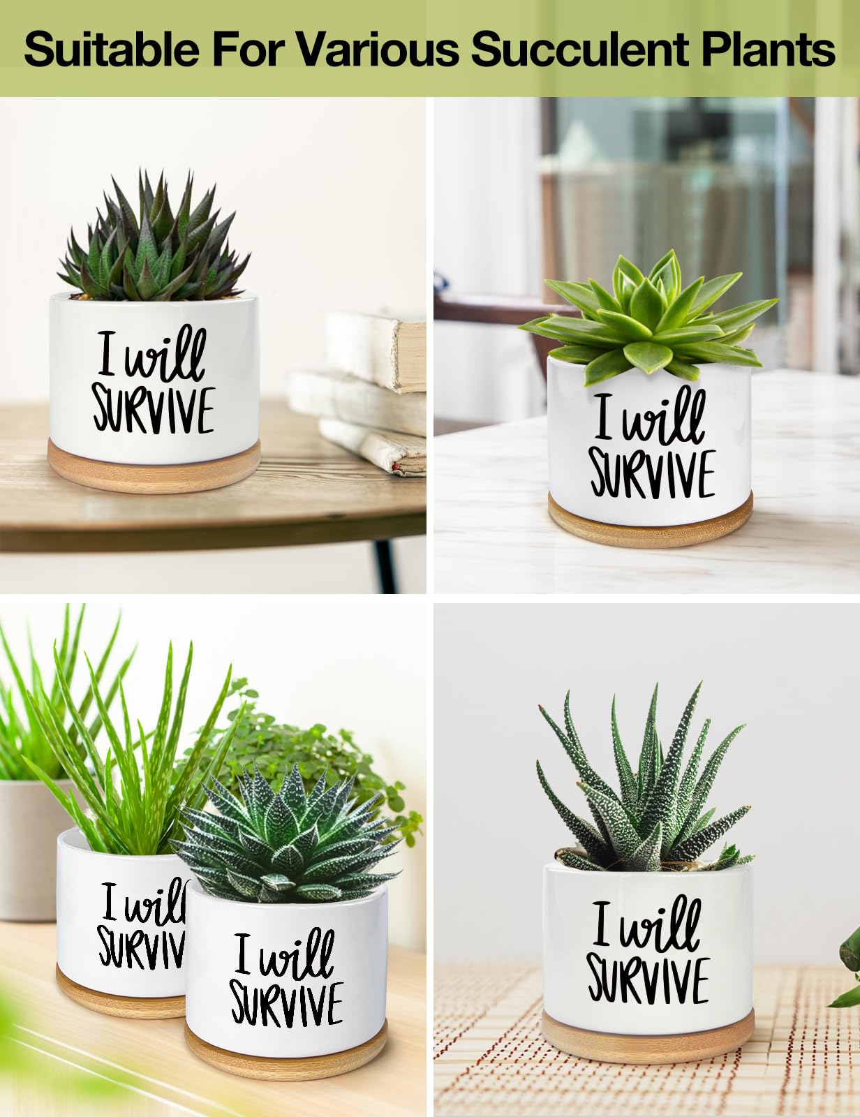 WHING 3.5 Inch Mini Succulent Planter Pot, I Will Survive Funny Engraved White Ceramic Cactus Pot with Bamboo Tray, Indoor Flower Plant Pots for Home Office Windowsill Decor Gift, Plant Not Included