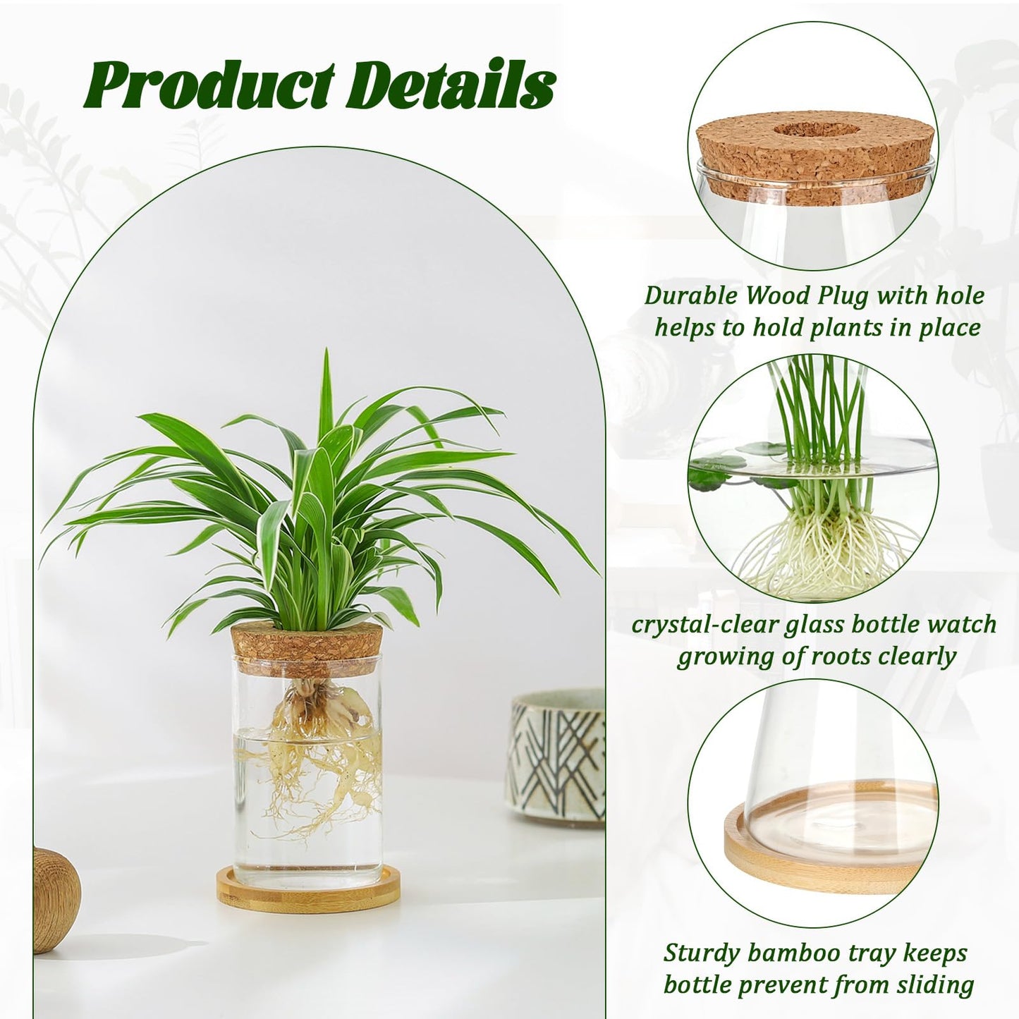 Anboliwb 6 Pcs Plants Propagation Stations Glass Planter Terrariums with Wooden Lid and Bamboo Stand Desktop Propagation Vases Jars for Plant Growing Hydroponic Home Office Tabletop Garden Decoration