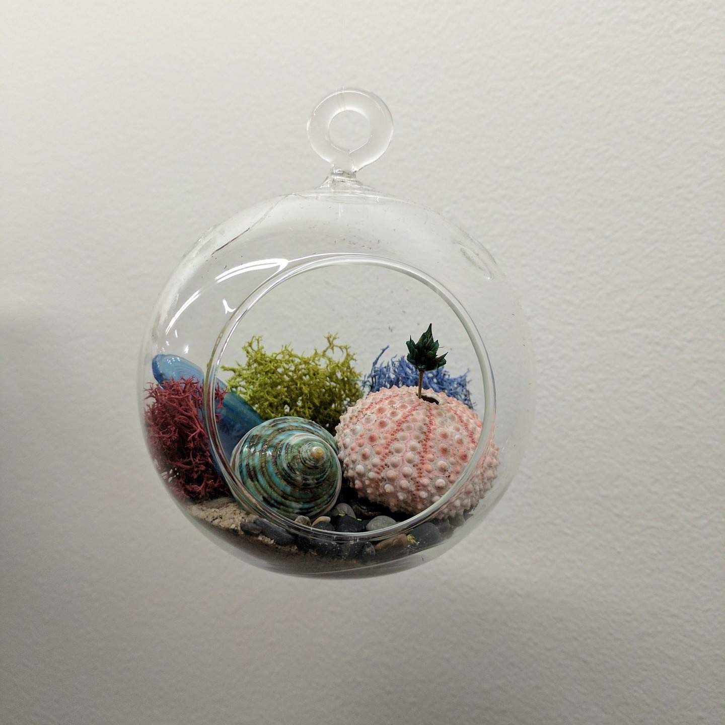 WGVI WGV Hanging Terrarium Globe, Width 8", Height 9", DIY Air Succulent Planter, Clear Glass Vase Orb with Flat Bottom, Candle Holder for Windowsill Outdoor Garden Decor, 1 Piece