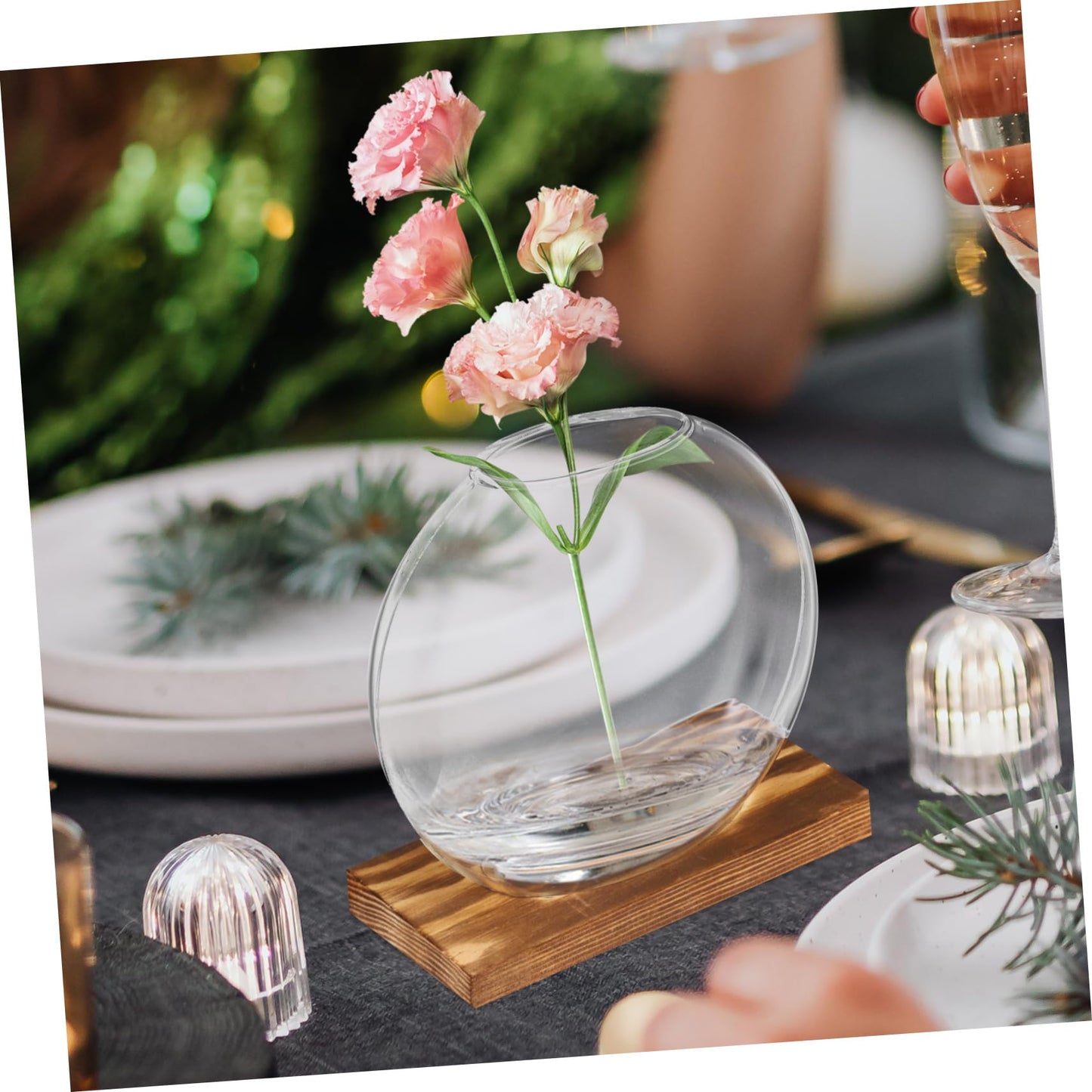 HANABASS 2sets Hydroponic Glass Planter Decorative with Eucalyptus Base for Home Office for Plant Propagation Display Clear Design for Elegant Decor
