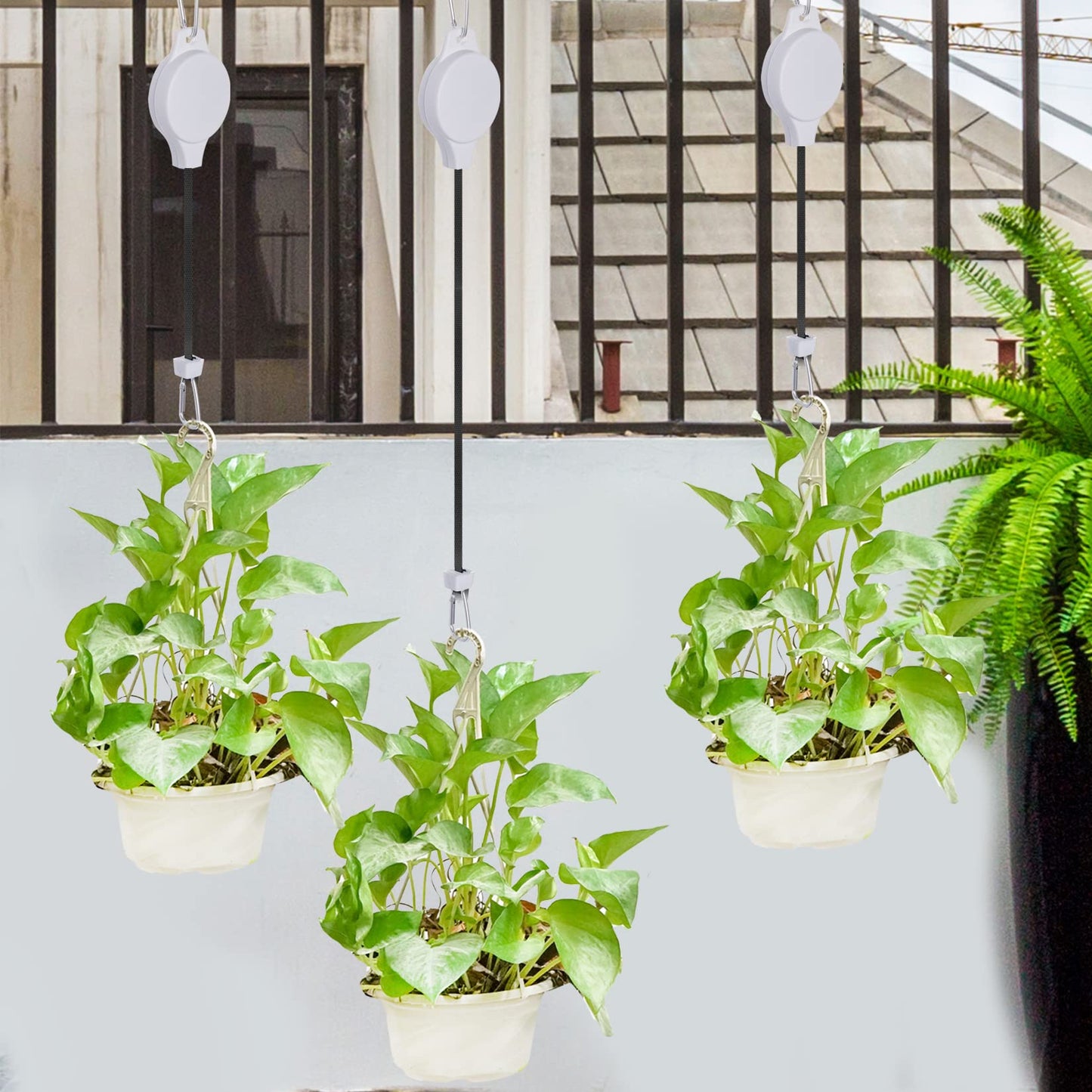 Haakong 6 Pcs Retractable Plant Hanger, Easy Reach Plant Pulley Adjustable Height Wheel for Hanging Plants - Heavy Duty for Garden Baskets Pots & Birds Feeder - White