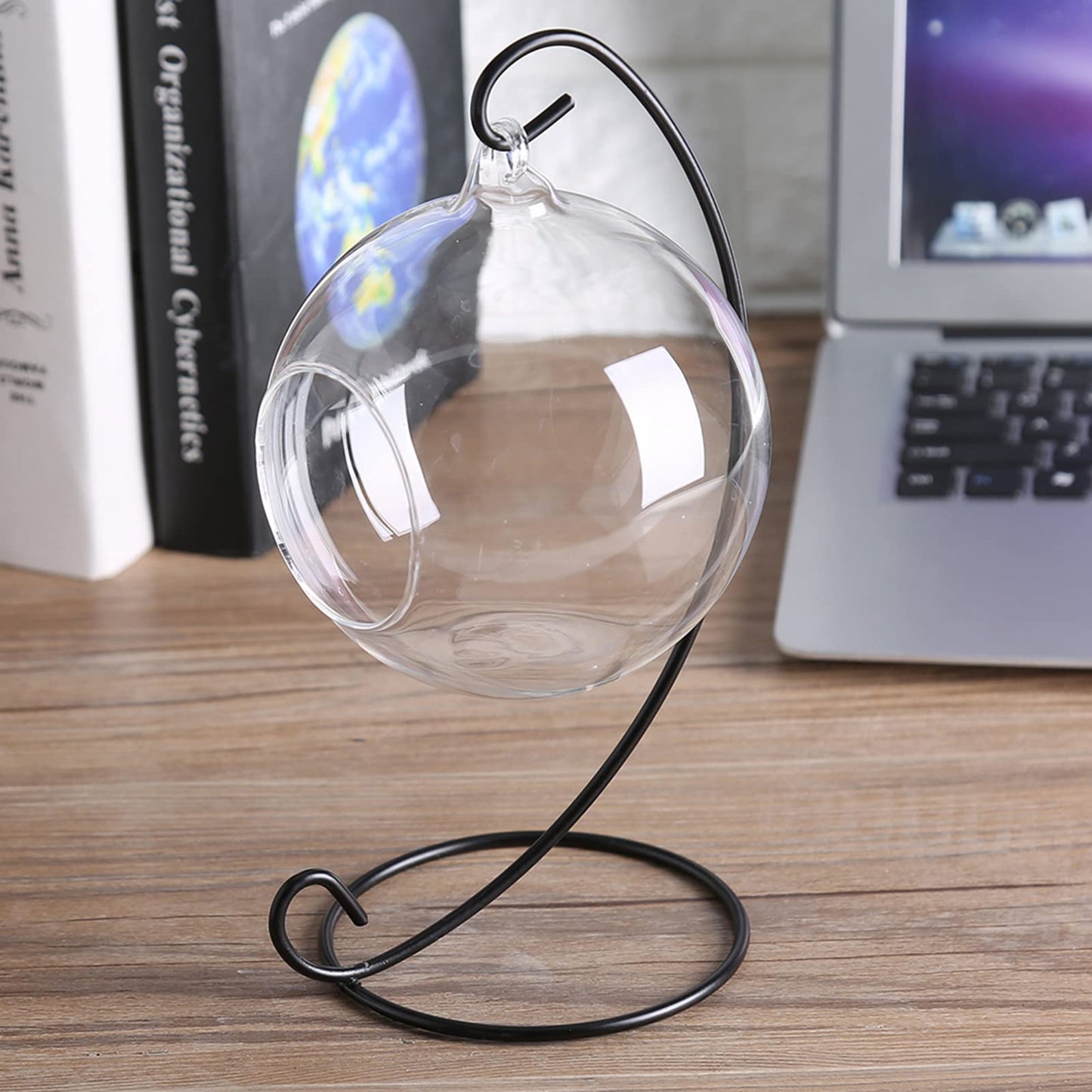 Vistreck Elegant Hanging Glass Vase Terrarium with Iron Frame for Air Plants and Succulents