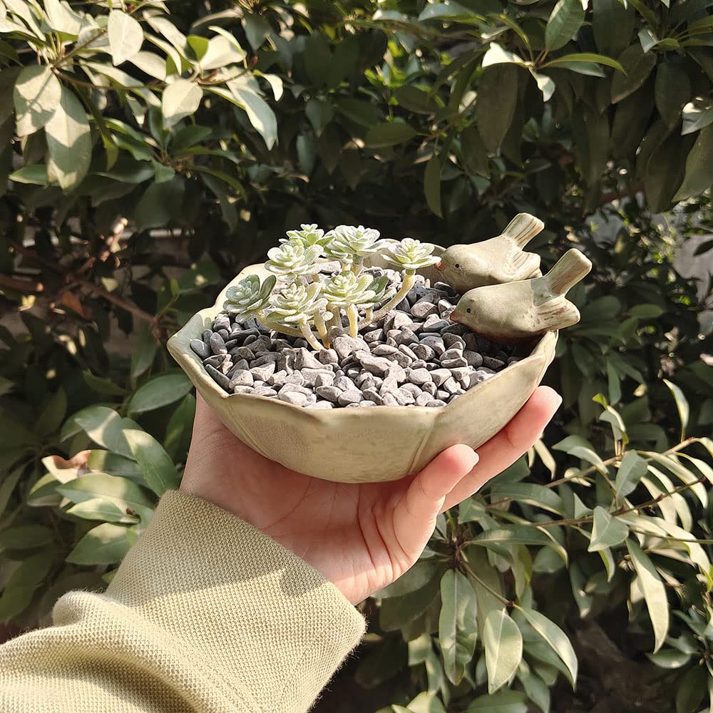 YOUUGIOR Decoration 5.5 INCH Small Ceramic Pot Planter Green Bird Planting Succulent Flower