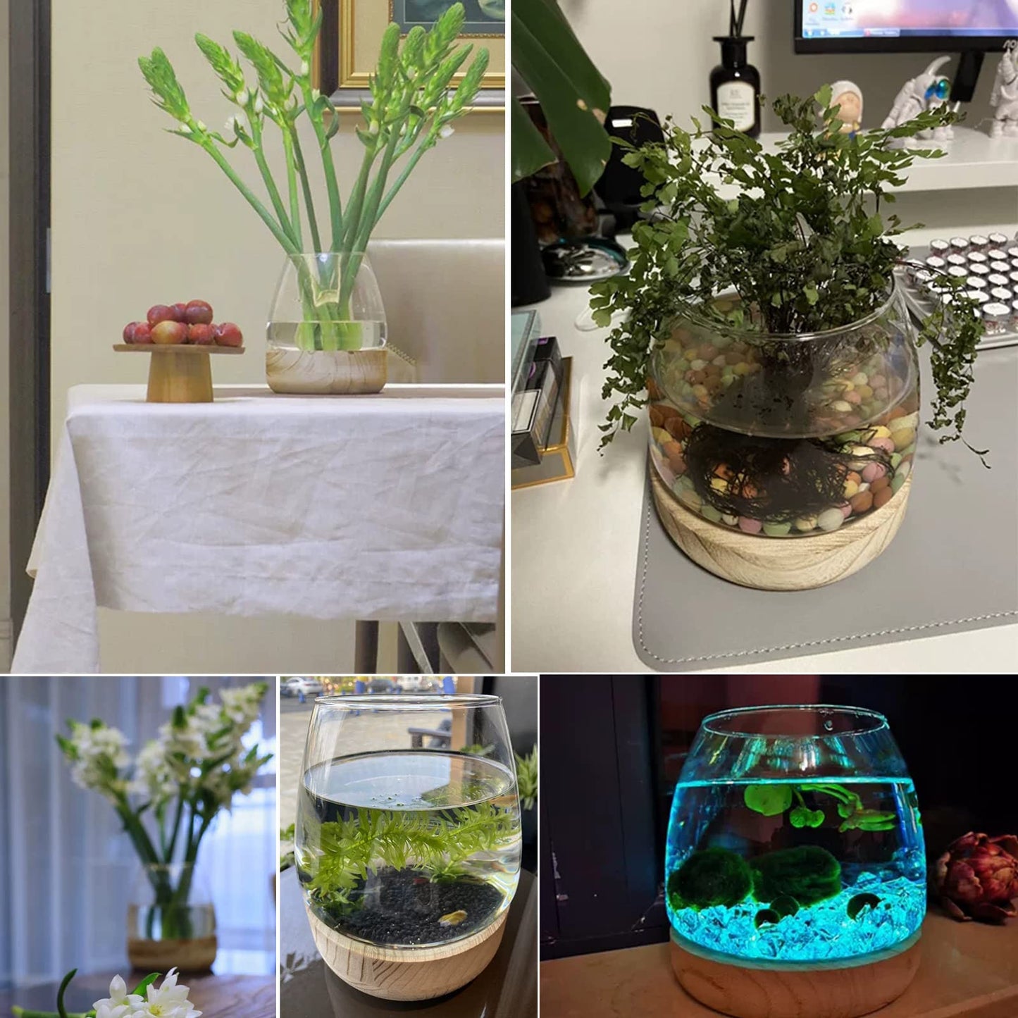 DCQRY Clear Glass Bubble Bowl Glass Planter Hydroponic Plant Vase with Detachable Wood Base Unique Fish Tanks Glass Terrarium Container Pot for Hydroponic Plants Home Garden Decor