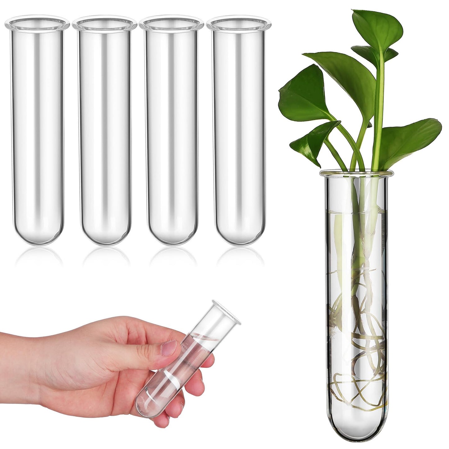 Artibetter 5pcs Glass Plant Propagation Tubes 2.5x3x11cm Test Tube Hydroponic Flower Vase for Indoor Plant Propagation and Terrarium Display