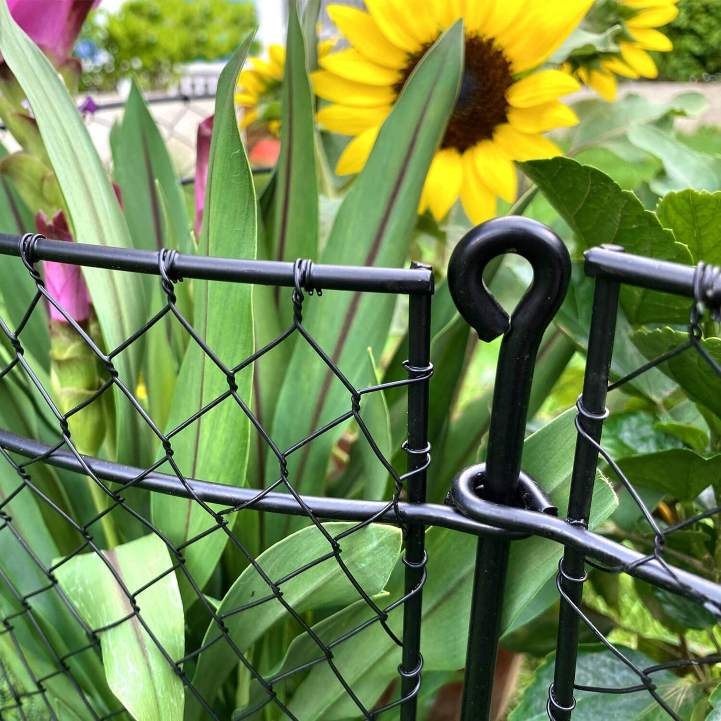 6 Pack Heavy-Duty Chicken Wire Plant Cloches, 14"x16" Rustproof Chicken Wire Cages for Flowers, Seedlings & Vegetables, Combine to Large Fences for Raised Beds & Patios, Keep Rabbits, Squirrels Out
