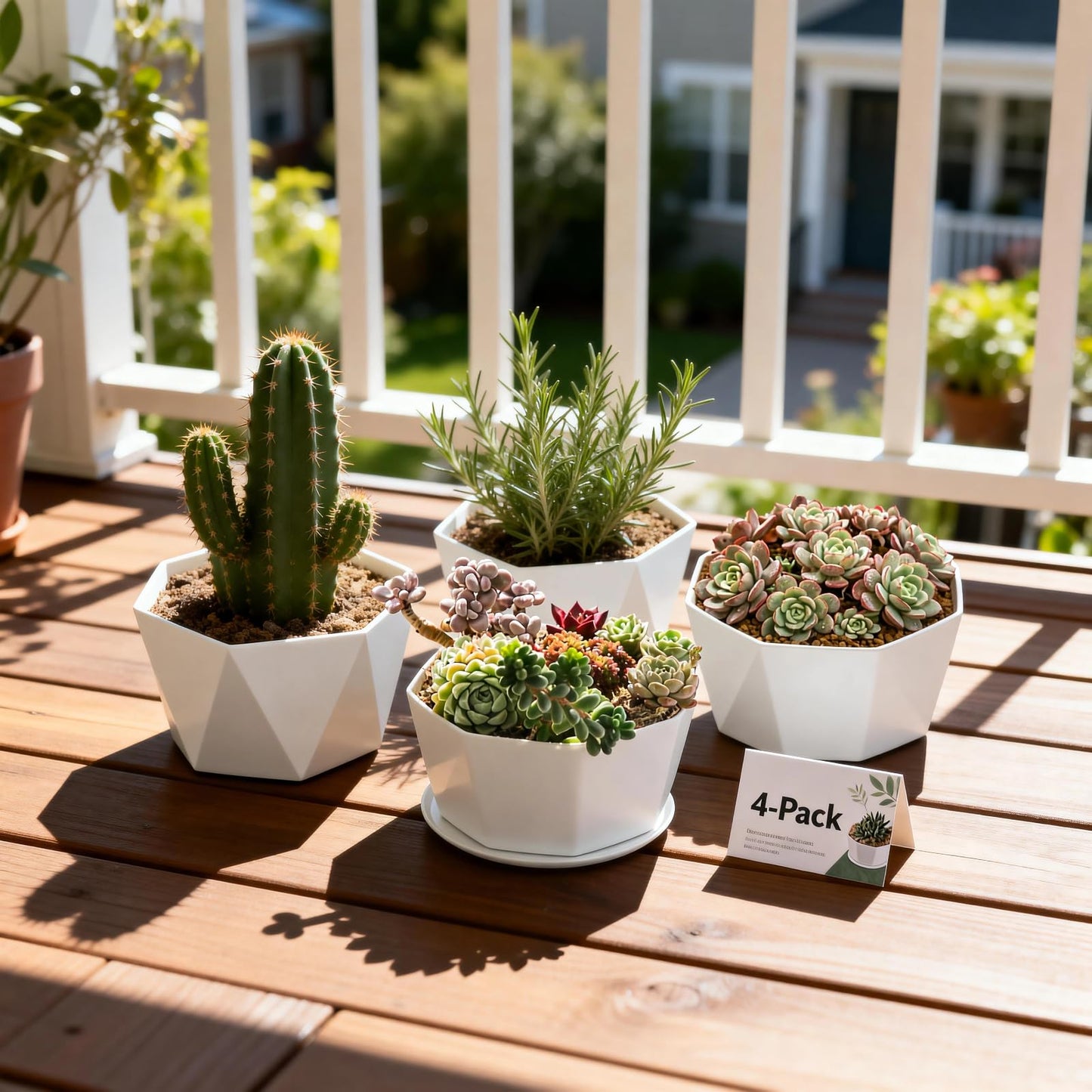 BovcTrraann 4 Pack Shallow Succulent Plant Pots with Tray and Drainage Holes, Shallow Planter for Indoor and Outdoor Gardening, Succulent pots for Succulents Cactus and Herbs (5.9 Inch)