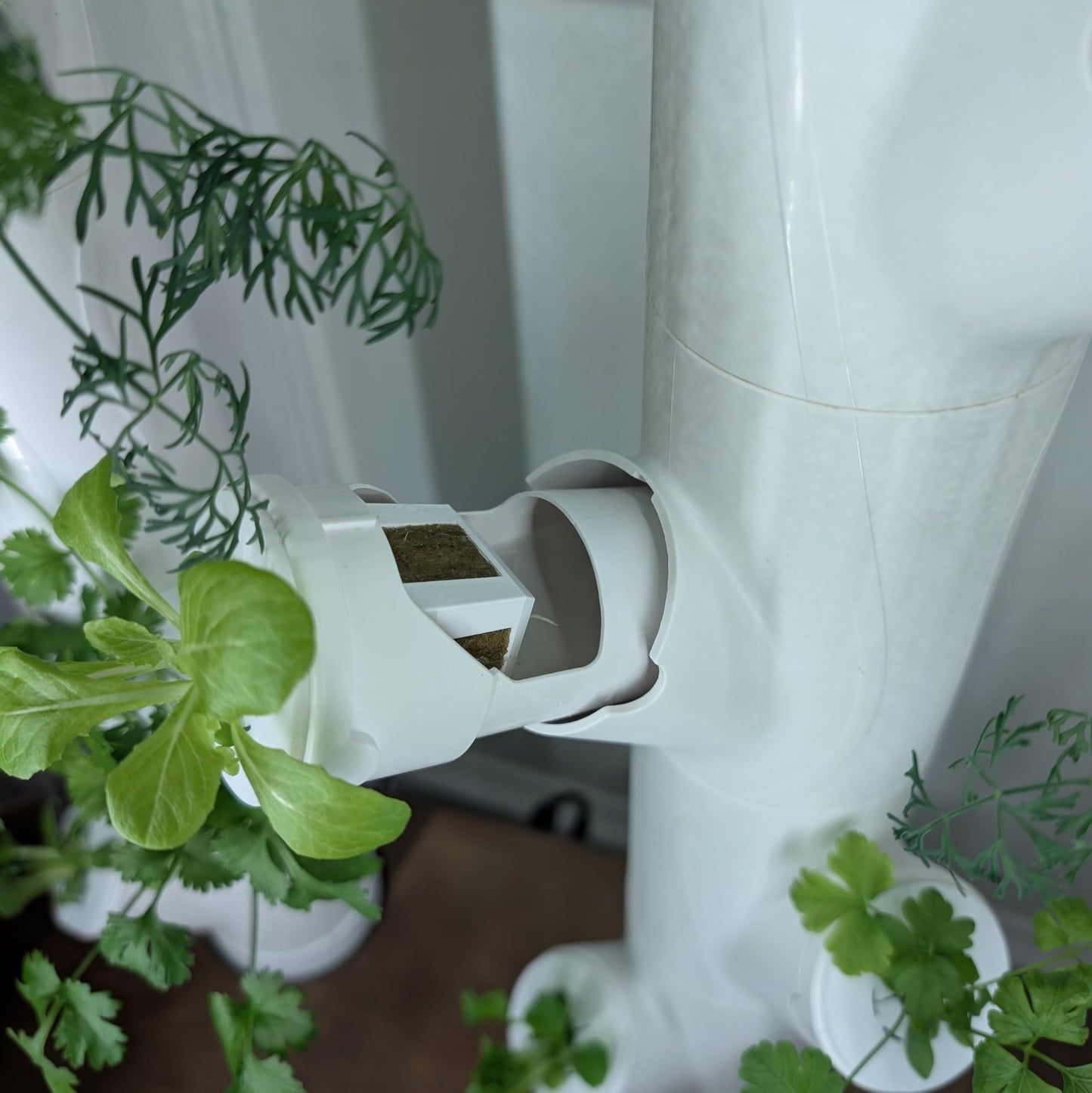 Grow Cubes for Hydroponic System/Compatible with Gardyn (10 Grow Cubes / 10 White caps)
