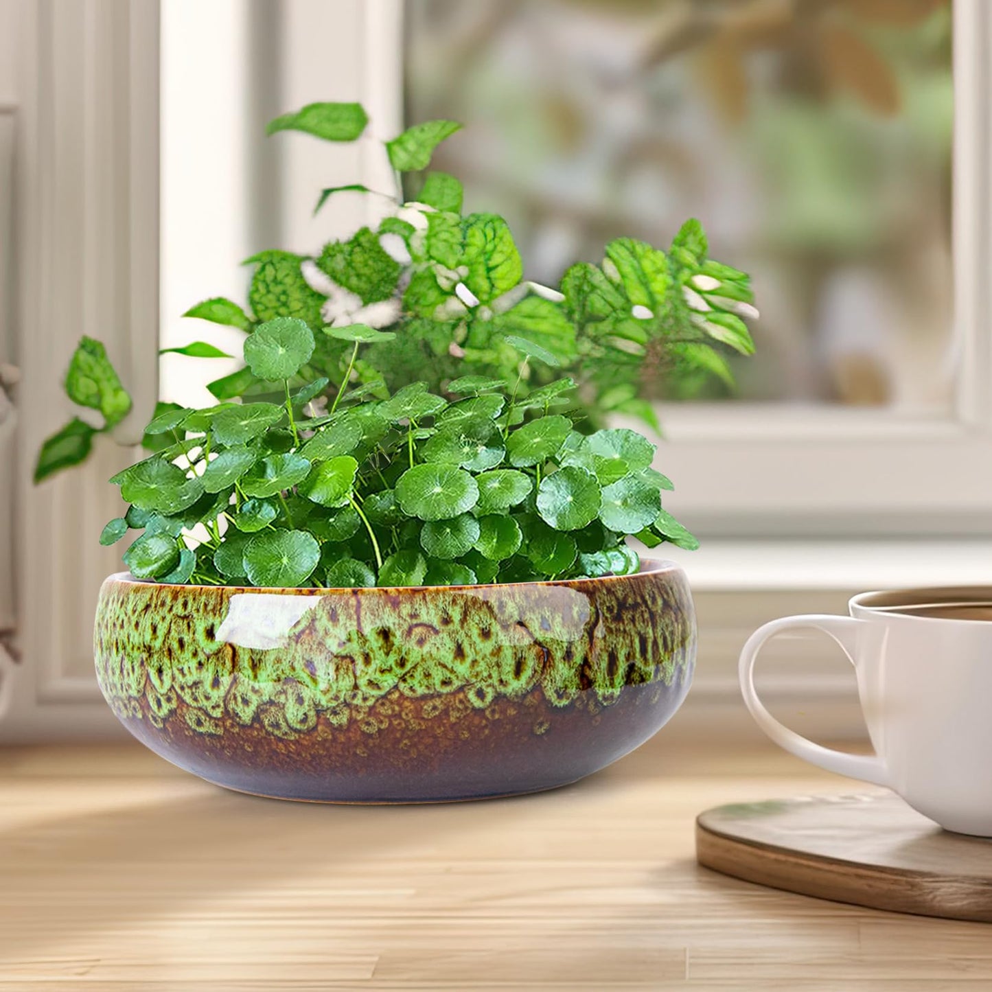 ARTKETTY Lotus Bowl Planter - 8 Inch Large Lotus Flower Bowl for Water Plants, Ceramic Bonsai Bowl for Hydroponic Plant Succulent Plants Indoors Outdoor