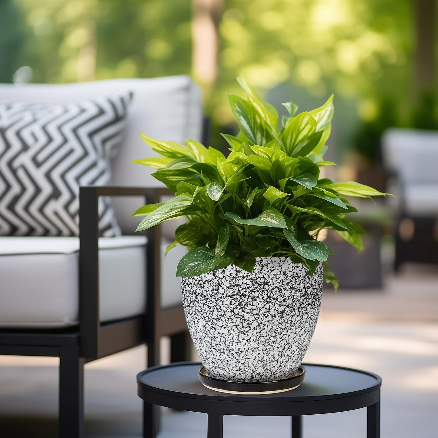 EPFamily Ceraimc Plant Pot - 8 Inch Planter with Drainage and Saucer, Modern Round Planter, Flower Pot for Indoor Outdoor Plants, Home Room Garden Apartment Decor, Gifts for Plant Lovers, White-Black