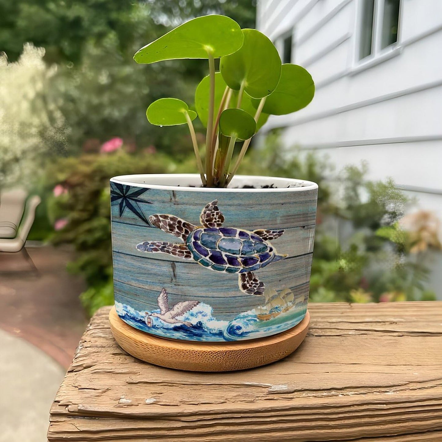 DreamAutumn Ocean Theme Sea Turtle Planter Ceramic Round Plant Pots with Drainage Holes and Bamboo Tray Planting Small Flower Pots for Home Windowsill Desk Garden Indoor Outdoor Use