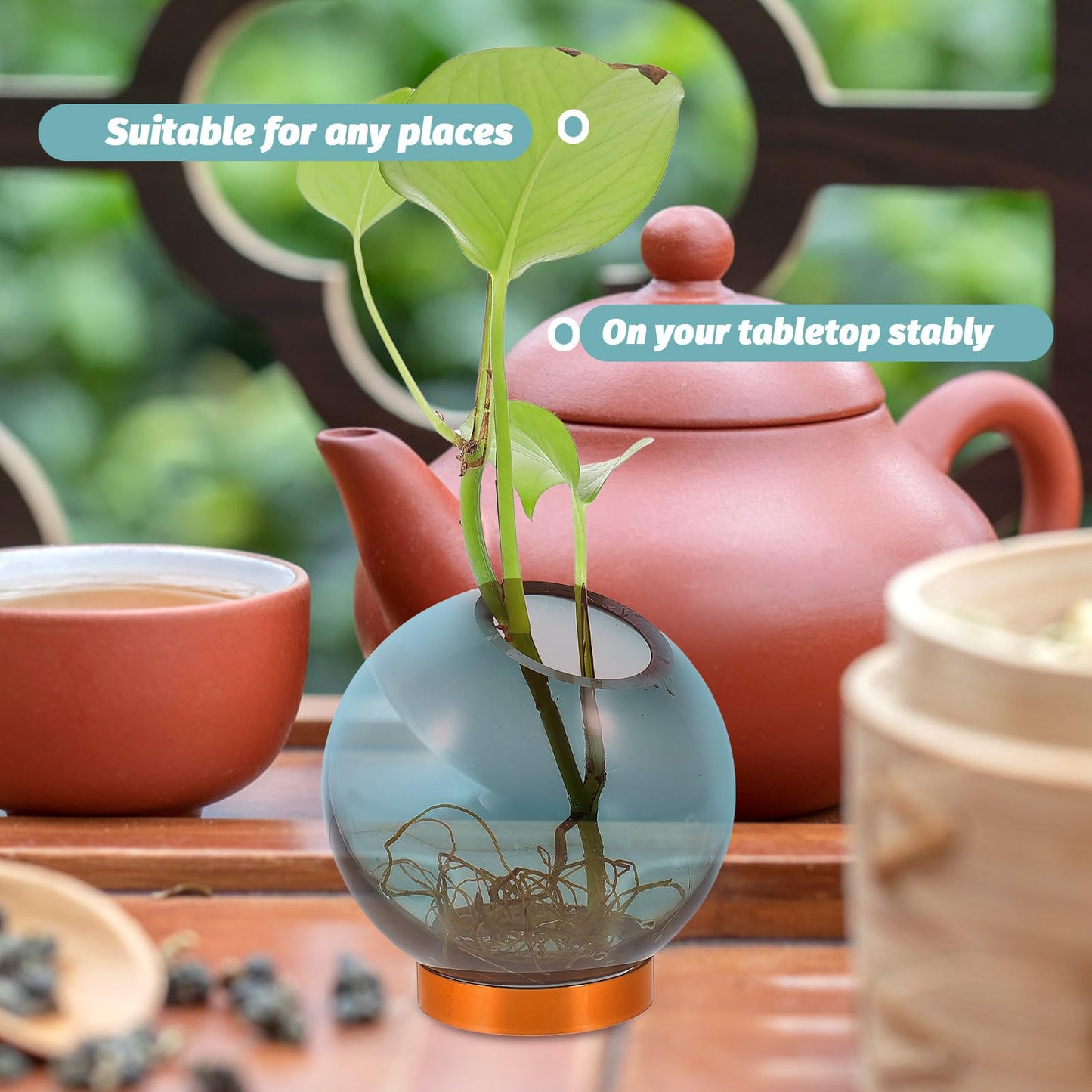 NUOBESTY Glass Vase with Copper Stand, Small Hydroponic Flower Planter for Floral Arrangement and Indoor Home Décor, Round Glass Terrarium Vase