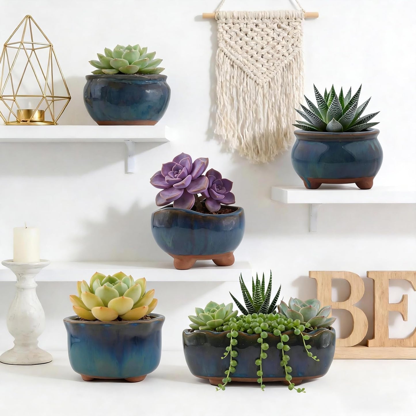 ginojex Ceramic Succulent Garden Pots Small Plant Planter Container with Drainage Set of 5 for Home Office Decor