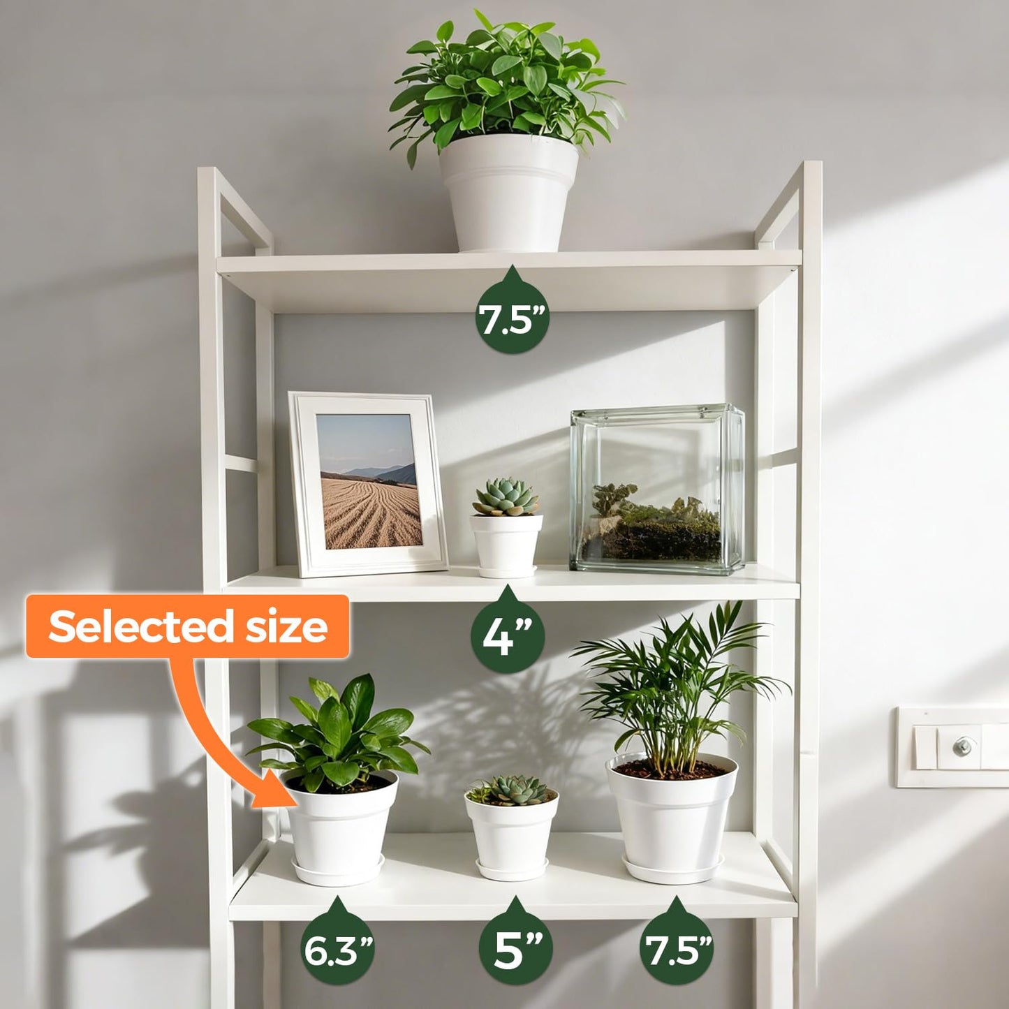 T4U 6 Inch Plant Pot 8-Pack, Plastic Planter with Drainage Hole and Saucer, Decorative Nursery Pots Bulk for African Violet, Snake Plant, Succulent, Herb and Plants Indoor (8 Pcs 6" Pots, White)