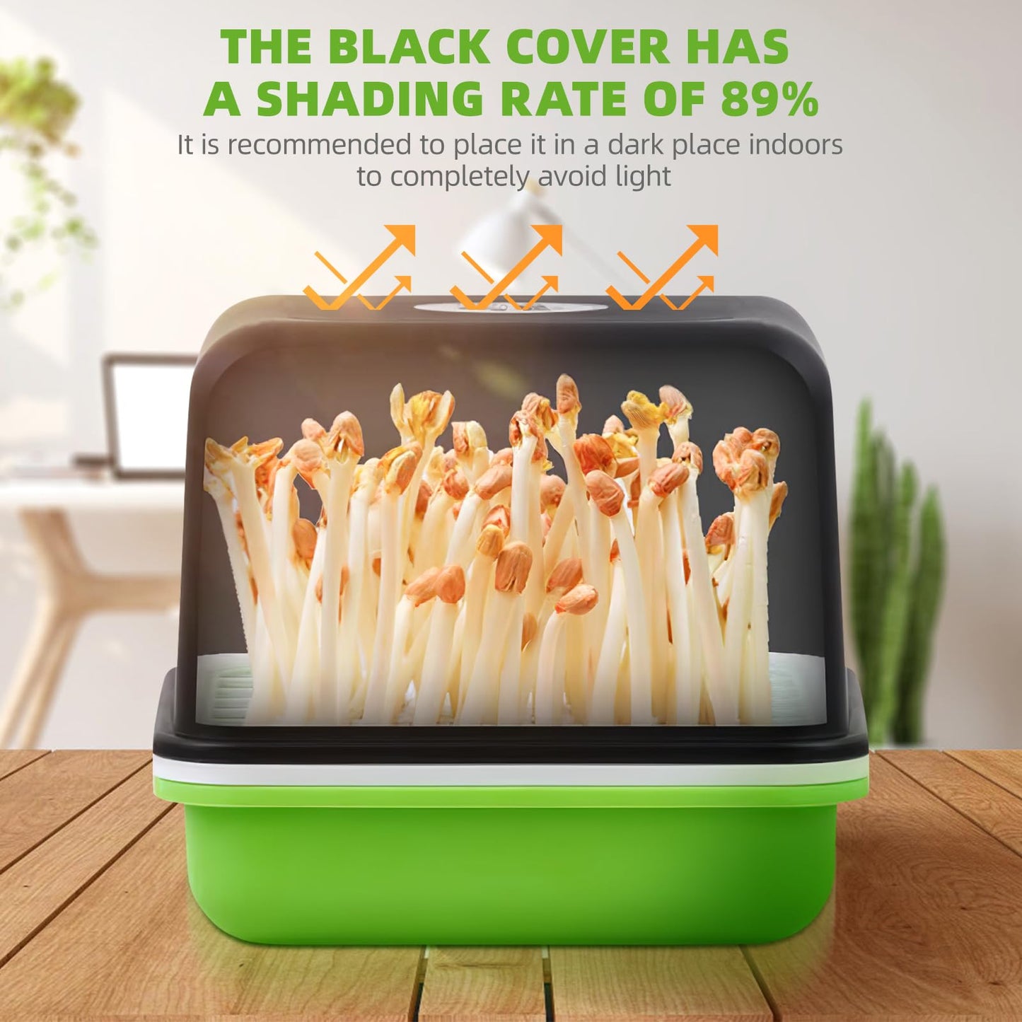 DOITOOL Peanut Sprouts Hydroponic Box 3Pcs Nursery Trays with Lid 6.69X6.69X6.10In Soil-Free Seed Germination Tray for Indoor Gardening and Home Plant Propagation