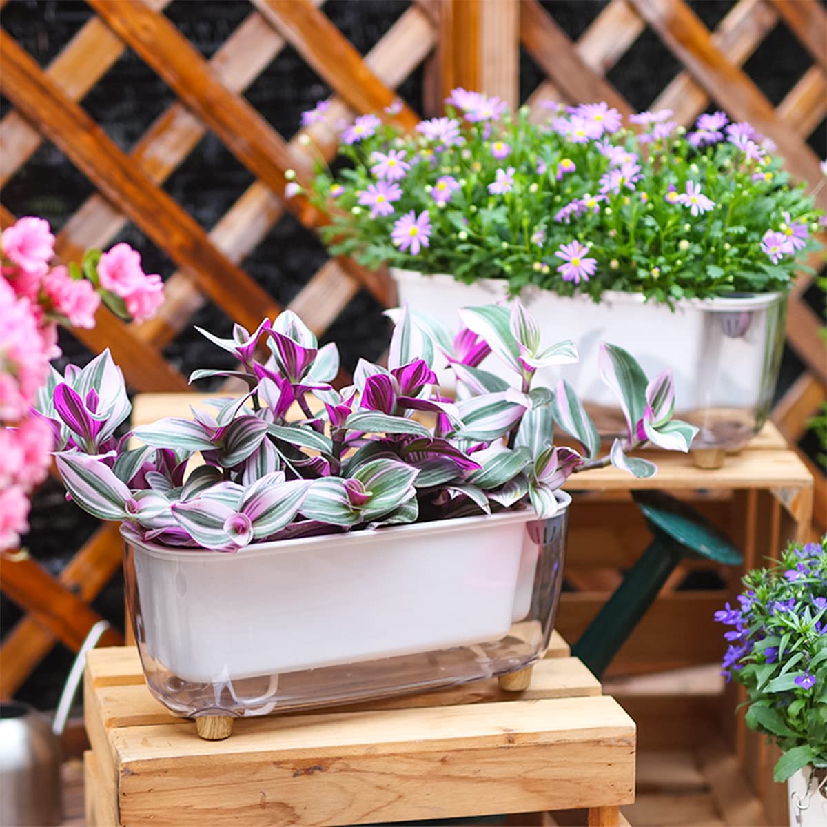 5 Pack Rectangular Planter 11.8 x 4.6 in Self Watering Planter Window Sill Planters Indoor Rectangle Planter Self Watering Pots Plastic Plant pots for African Violet Flower Orchid (Clear, 5)