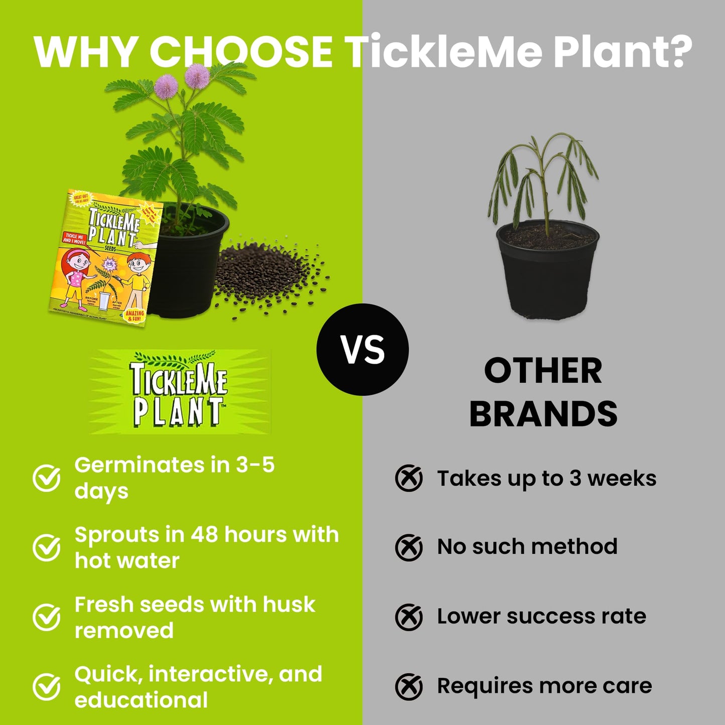 TickleMe Plant Deluxe Family Greenhouse Kit - Grow the Playful Plant that Closes Its Leaves When Tickled! Includes Mini Greenhouse, 3 Seed Packets, Soil Pellets & Pots - Fun Indoor Gardening Gift