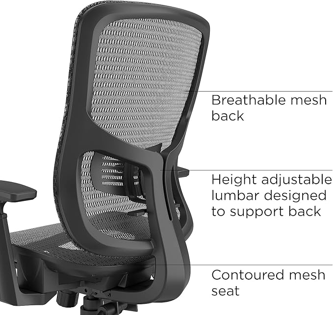 STAPLES Kroy Ergonomic Task Chair, Lumbar Support, Adjustable Height